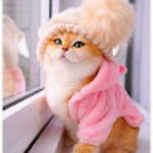 Meet your Posher, Berivan